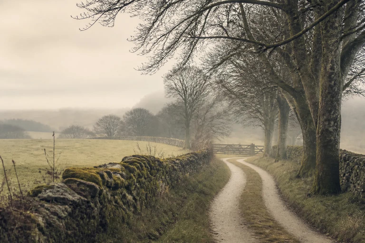 A winter lane — ordinary weather, the kind faith walks through.